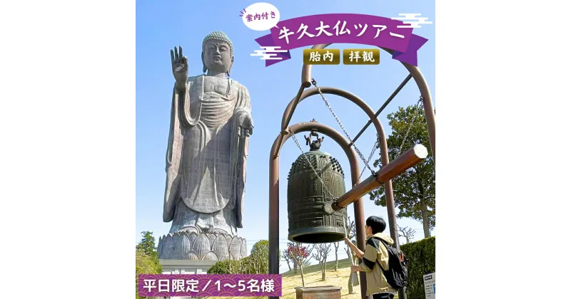 【ふるさと納税】《 案内付き 》 牛久大仏 胎内 拝観 ツアー ※ 平日限定 ※ （ 5名様まで ） 貸切 体験 参加券 体験チケット 観光