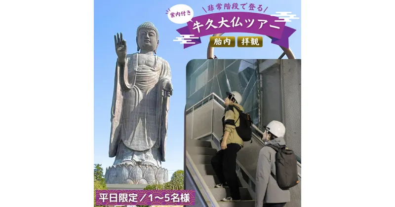 【ふるさと納税】《 案内付き 》 非常階段で登る 牛久大仏 胎内 拝観 ツアー ※ 平日限定 ※ （ 5名様まで ） 貸切 体験 参加券 体験チケット 観光