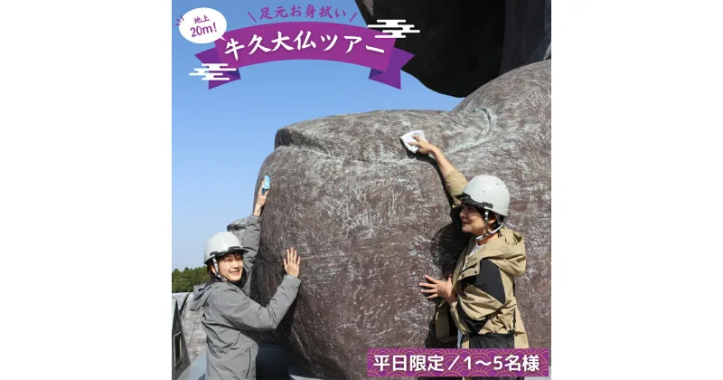 【ふるさと納税】地上20m 牛久大仏 足元 お身拭い 体験 ツアー ※ 平日限定 ※ （ 5名様まで ） 貸切 参加券 体験チケット 観光 ふるさと納税限定