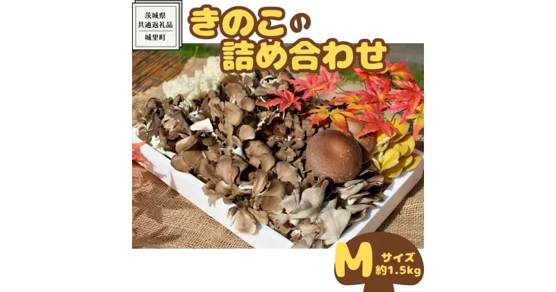 【ふるさと納税】きのこ の 詰め合わせ Mサイズ ( 約1.5kg ) （茨城県共通返礼品：城里町） キノコ セット 野菜 低カロリー ダイエット デトックス バラエティ セット 新鮮