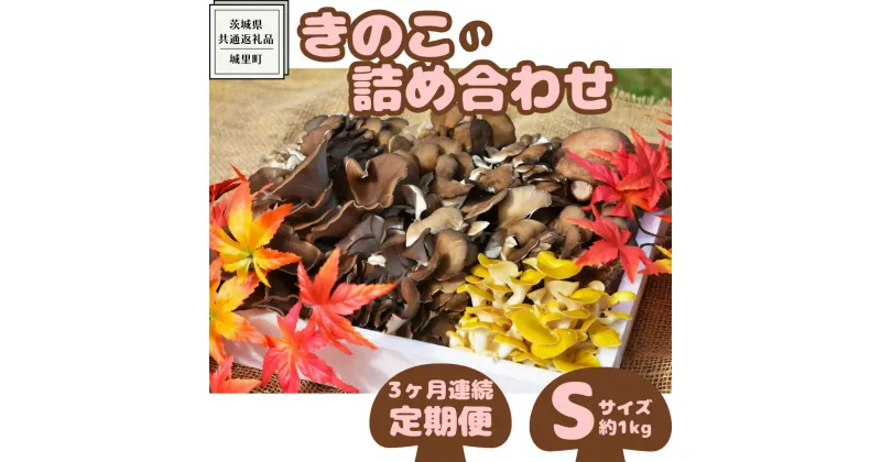 【ふるさと納税】【 3ヶ月連続定期便 】きのこ の 詰め合わせ Sサイズ ( 約1kg ) （茨城県共通返礼品：城里町） キノコ セット 野菜 低カロリー ダイエット デトックス バラエティ セット 新鮮