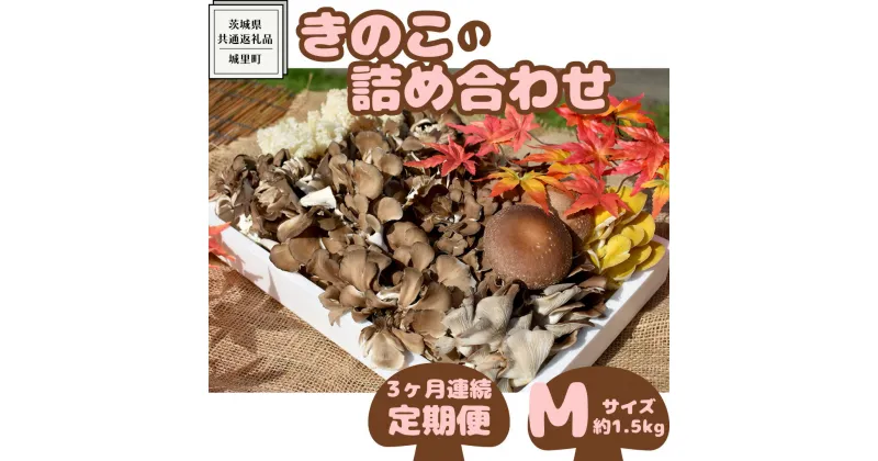 【ふるさと納税】【 3ヶ月連続定期便 】きのこ の詰め合わせ Mサイズ ( 約1.5kg ) （茨城県共通返礼品：城里町） キノコ セット 野菜 低カロリー ダイエット デトックス バラエティ セット 新鮮