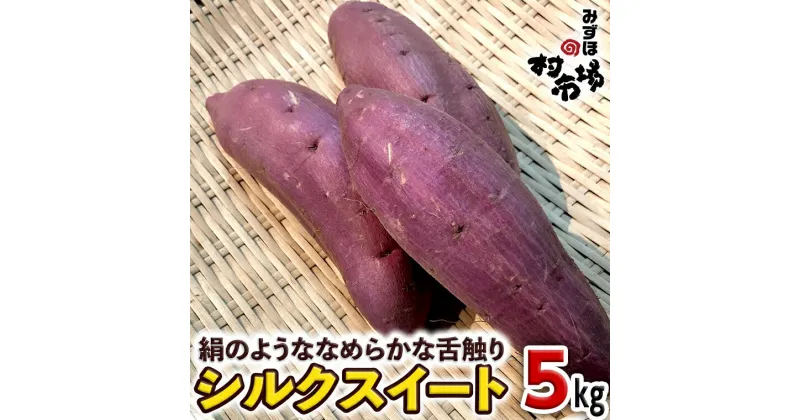 【ふるさと納税】 さつまいも 「 シルクスイート 」 5kg 旬 甘い 芋 いも サツマイモ スイーツ 野菜