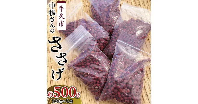 【ふるさと納税】牛久市 中根さんの「 ささげ 」 500g ( 100g × 5袋 ） ささげ豆 乾物豆類 野菜 豆 大角豆 小分け 赤飯 祝い 国産 茨城県 敬老の日 お彼岸