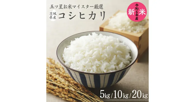 【ふるさと納税】《 令和6年産 》 茨城県産 コシヒカリ ＼選べる内容量／ 5kg 10kg 20kg 期間限定 こしひかり 米 コメ こめ 五ツ星 高品質 白米 精米 時短 単一米 新米