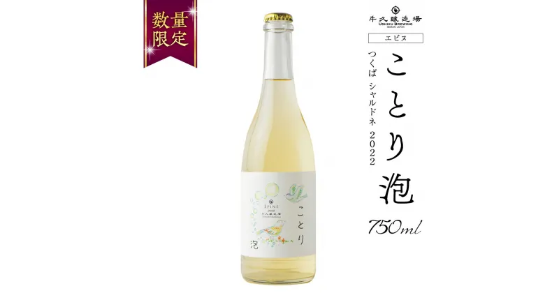 【ふるさと納税】【 数量限定 】 エピヌ 「 ことり 泡 」 つくば シャルドネ 2022 茨城県産 牛久醸造場 日本ワイン スパークリングワイン 白ワイン レモン ライム 750ml × 1本 やや辛口 ミディアムボディ お酒 贈り物