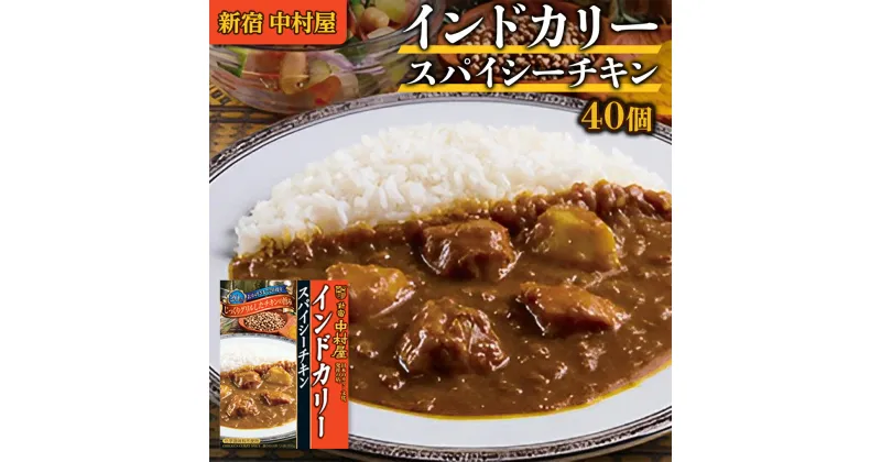 【ふるさと納税】新宿 中村屋 インドカリー スパイシーチキン 40個 人気 洋食 レトルト 時短 カレー インドカレー スパイシーカレー 長期保存 災害用 保存食