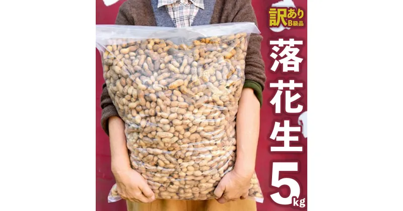 【ふるさと納税】【 訳あり 】 メガ B級 落花生 5kg 業務用 野菜 豆 特産品 農園 自家栽培 ピーナッツ ピーナツ おつまみ ビールのお供 国産 茨城