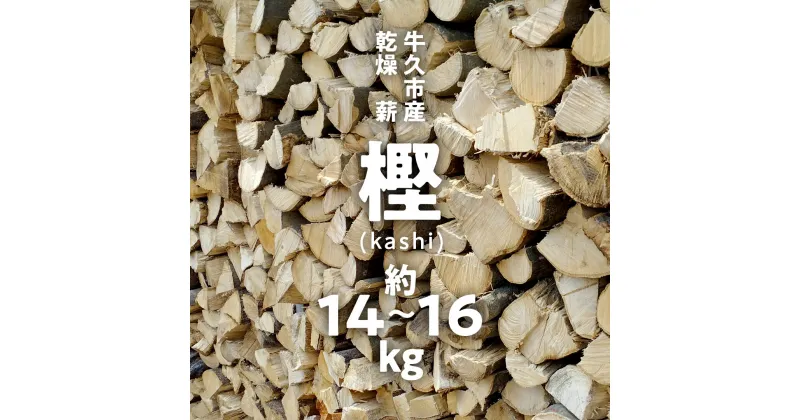 【ふるさと納税】 牛久市産 乾燥 薪 樫 ( かし ) 約14kg～16kg 天然木 マキ 乾燥薪 広葉樹 キャンプ アウトドア 焚火 焚き火 薪ストーブ 暖炉 たき火 野外 屋外 バーベキュー薪 ピザ窯の薪 グリル焼