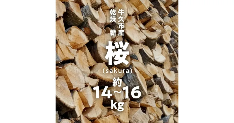 【ふるさと納税】 牛久市産 乾燥 薪 桜 ( さくら ) 約14kg～16kg 天然木 マキ 乾燥薪 広葉樹 キャンプ アウトドア 焚火 焚き火 薪ストーブ 暖炉 たき火 野外 屋外 バーベキュー薪 ピザ窯の薪 グリル焼