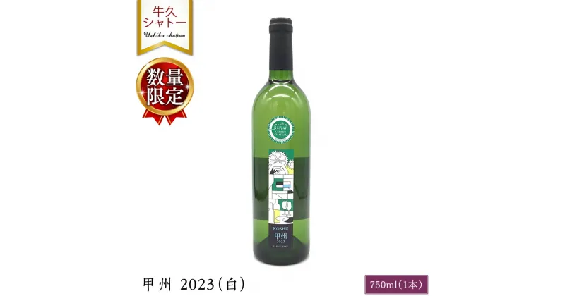 【ふるさと納税】【 数量限定 】 甲州 2023（白） 1本 750ml 白ワイン ワイン やや甘口 アルコール13度 750ミリリットル 甲州使用 ギフト プレゼント 記念日 誕生日 父の日 母の日 お酒 贈り物