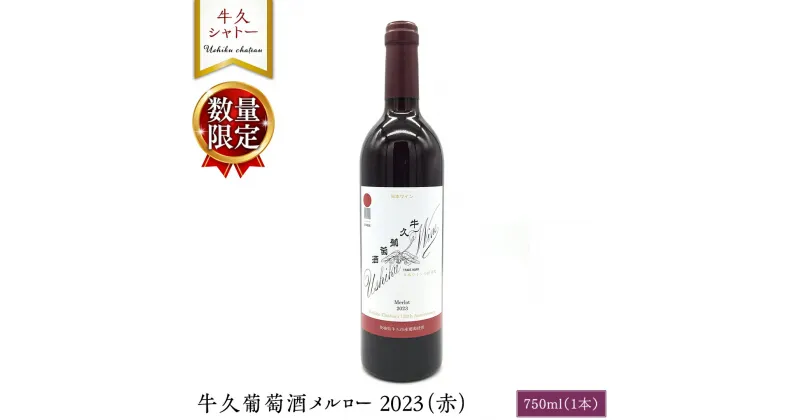 【ふるさと納税】【 数量限定 】 牛久葡萄酒メルロー 2023（赤） 750ml 1本 お酒 牛久シャトー ワイナリー 赤ワイン ぶどう 国産ぶどう 葡萄 贈り物 ライトボディ 日本ワイン 茨城農芸学院 わいん