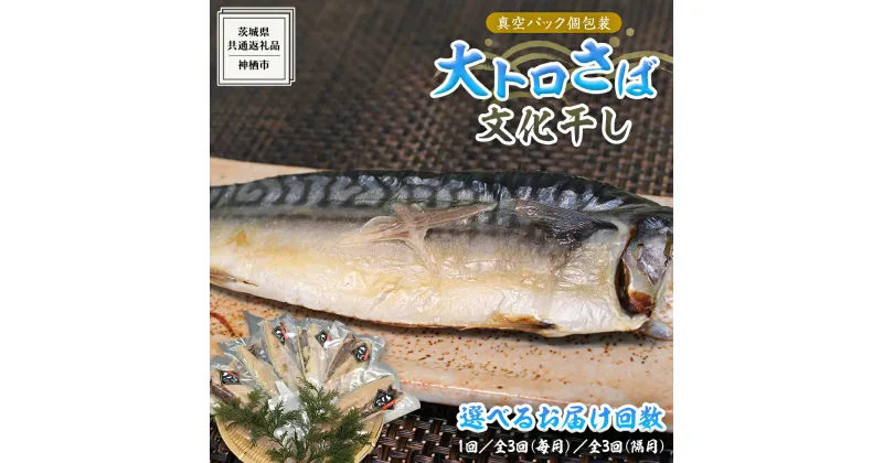 【ふるさと納税】大トロ さば文化 干し 1枚真空 6パック ( 茨城県共通返礼品 :神栖市 ) 選べる発送方法 単品発送 定期便 お届け回数 と 間隔が選べる 連続定期 隔月定期便 2ヶ月に1度 海鮮 鯖 切り身 切身 さば サバ 干物 真空パック 真空包装 化粧箱 冷凍 ノルウェーさば