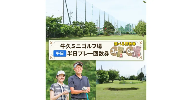 【ふるさと納税】＼ 選べる枚数 6枚綴り または 3枚綴り ／牛久ミニゴルフ場 平日 半日 プレー回数券 ゴルフ ゴルフチケット ゴルフ場利用券 茨城 プレー券 練習券 体験 チケット