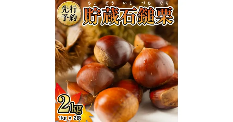 【ふるさと納税】《 先行予約 》 茨城県産 貯蔵 石鎚 栗 2kg （ 1kg × 2袋 ） JA全農いばらき JA 先行予約 【 2024年12月中旬から発送開始 】 いしづち くり くり クリ 栗ごはん ギフト 果物 フルーツ 冬 正月 おせち