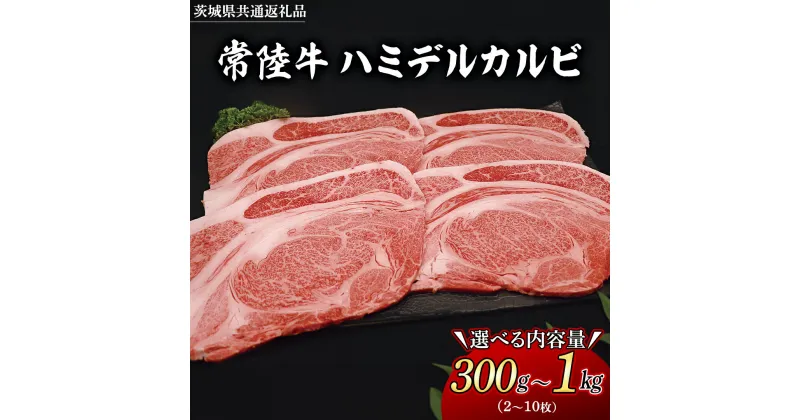 【ふるさと納税】 ＼ 選べる内容量 ／常陸牛 ハミデルカルビ 300g 500g 1kg(茨城県共通返礼品) 国産 焼き肉 カブリ ゲタ リブ芯 リブ巻 中落ちカルビ バーベキュー BBQ お肉 ブランド牛 黒毛和牛 和牛 国産黒毛和牛 国産牛 牛肉