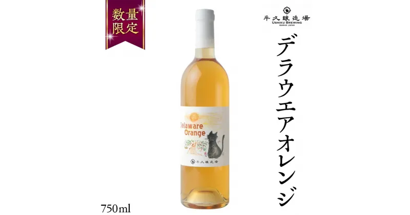 【ふるさと納税】 デラウエアオレンジ Delaware Orange 750ml×1本 茨城県産 牛久醸造場 日本ワイン ワイン 750ml ミディアムボディ お酒 贈り物 葡萄 ぶどう オレンジワイン