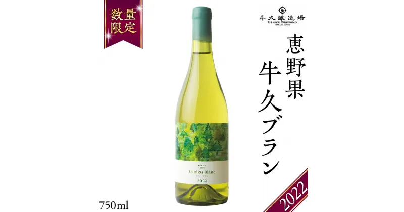 【ふるさと納税】 恵野果 牛久ブラン 2022 750ml×1本 茨城県産 牛久醸造場 日本ワイン ワイン 白ワイン 750ml ミディアムボディ お酒 贈り物 葡萄 ぶどう