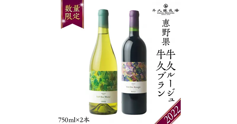 【ふるさと納税】 恵野果 牛久ルージュ 2022・恵野果 牛久ブラン 2022 の 750ml×2本セット 茨城県産 牛久醸造場 日本ワイン ワイン 赤ワイン 白ワイン 750ml ミディアムボディ お酒 贈り物 葡萄 ぶどう