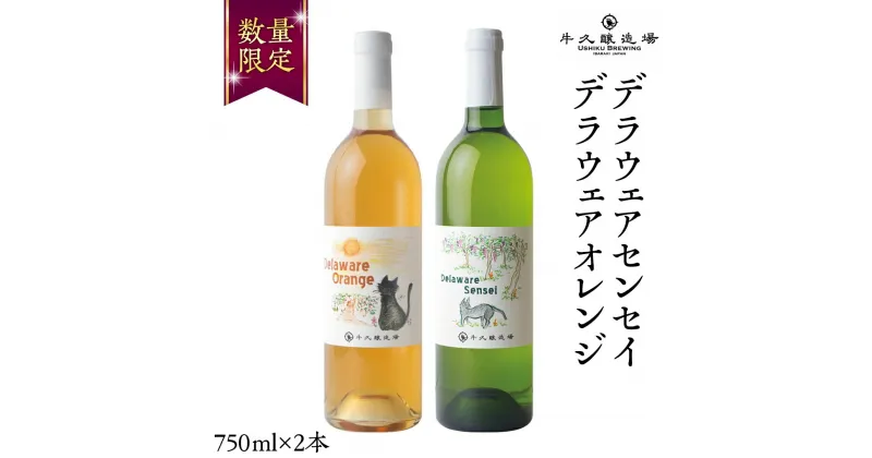 【ふるさと納税】 デラウェアセンセイ・デラウェアオレンジ の 750ml×2本セット 茨城県産 牛久醸造場 日本ワイン ワイン 白ワイン 750ml ミディアムボディ お酒 贈り物 葡萄 ぶどう オレンジワイン